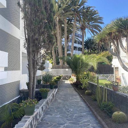 Oasis Playa Maspalomas Maspalomas  Eksteriør bilde