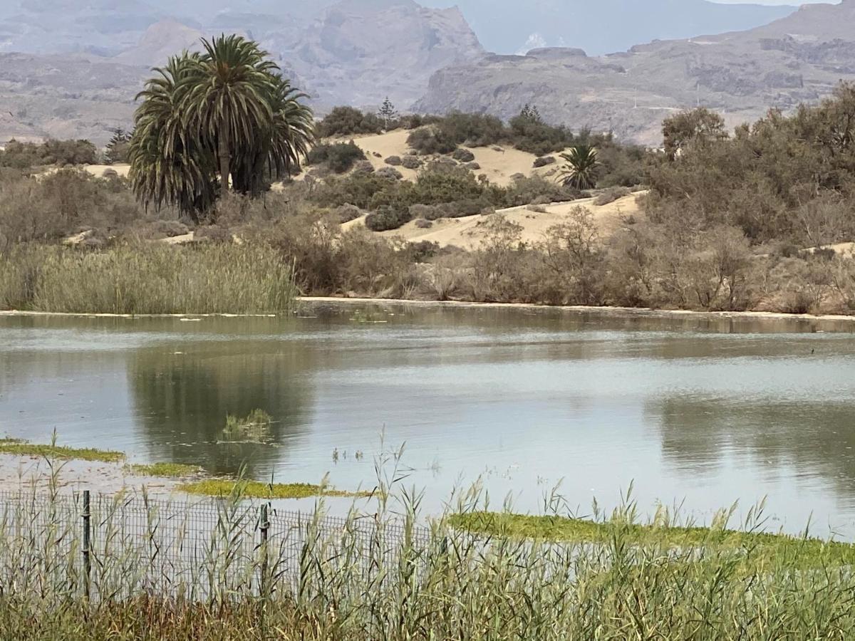 Oasis Playa Maspalomas Maspalomas  Eksteriør bilde