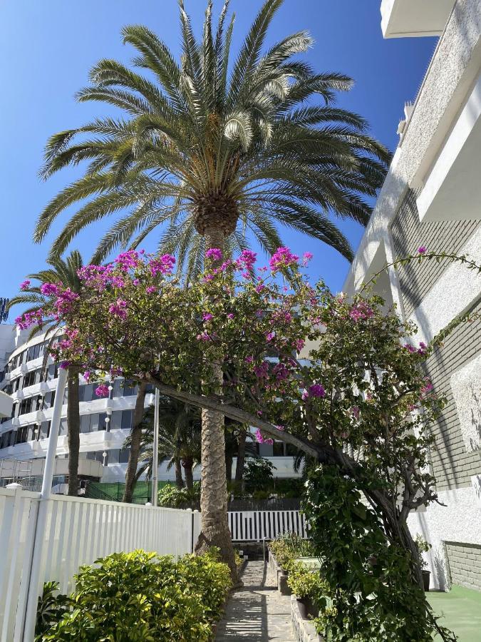 Oasis Playa Maspalomas Maspalomas  Eksteriør bilde