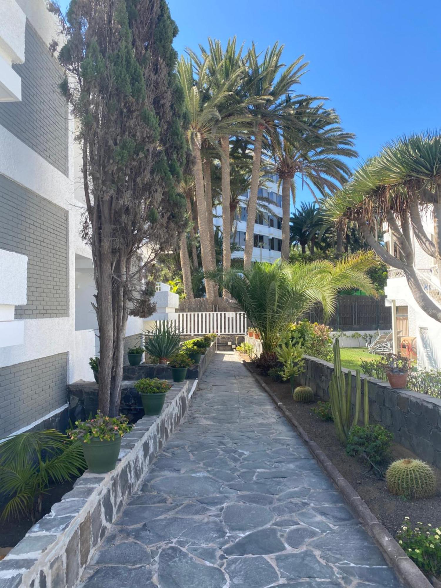 Oasis Playa Maspalomas Maspalomas  Eksteriør bilde