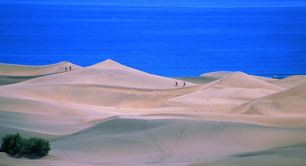 Oasis Playa Maspalomas Maspalomas  Eksteriør bilde