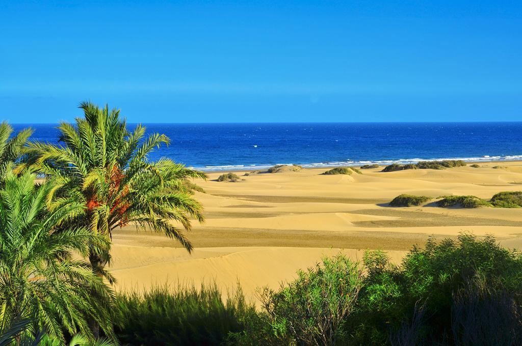 Oasis Playa Maspalomas Maspalomas  Eksteriør bilde